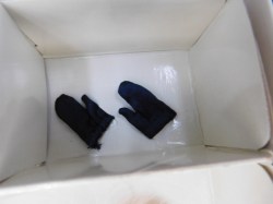 midnight mischief gloves